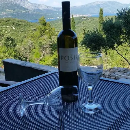 Andrea Apartamento Zrnovo